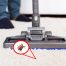 Can Vacuuming kill Fleas?